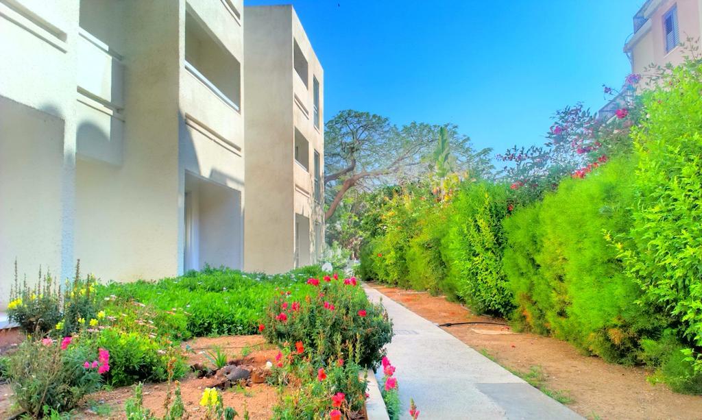 Daphne Hotel Apartments (Adults Only) Paphos Kültér fotó